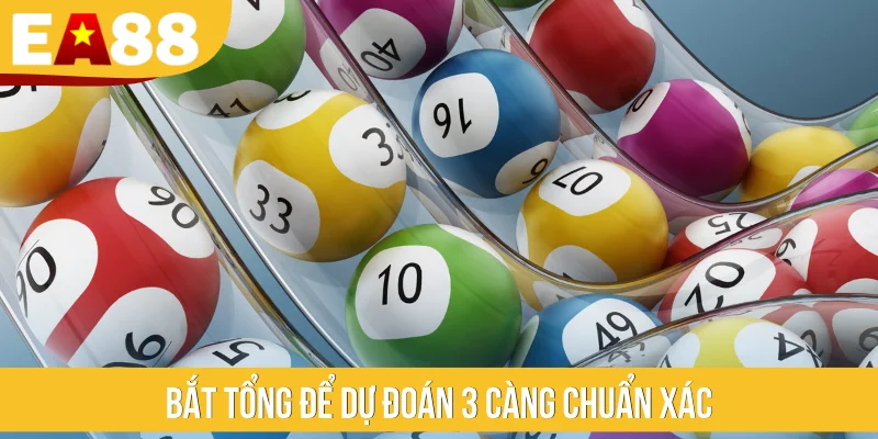Bắt tổng để dự đoán 3 càng chuẩn xác