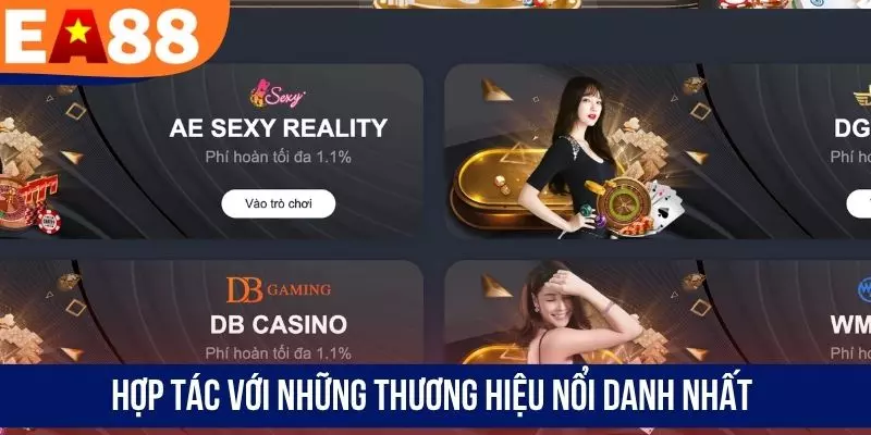 Hợp tác với những thương hiệu nổi danh nhất