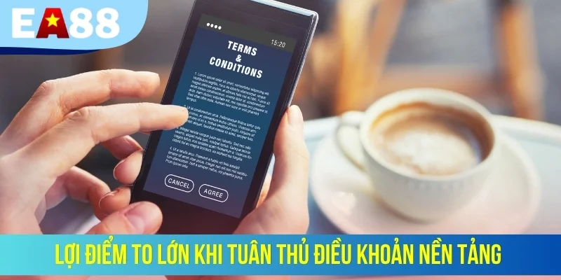 Lợi điểm to lớn khi tuân thủ điều khoản nền tảng
